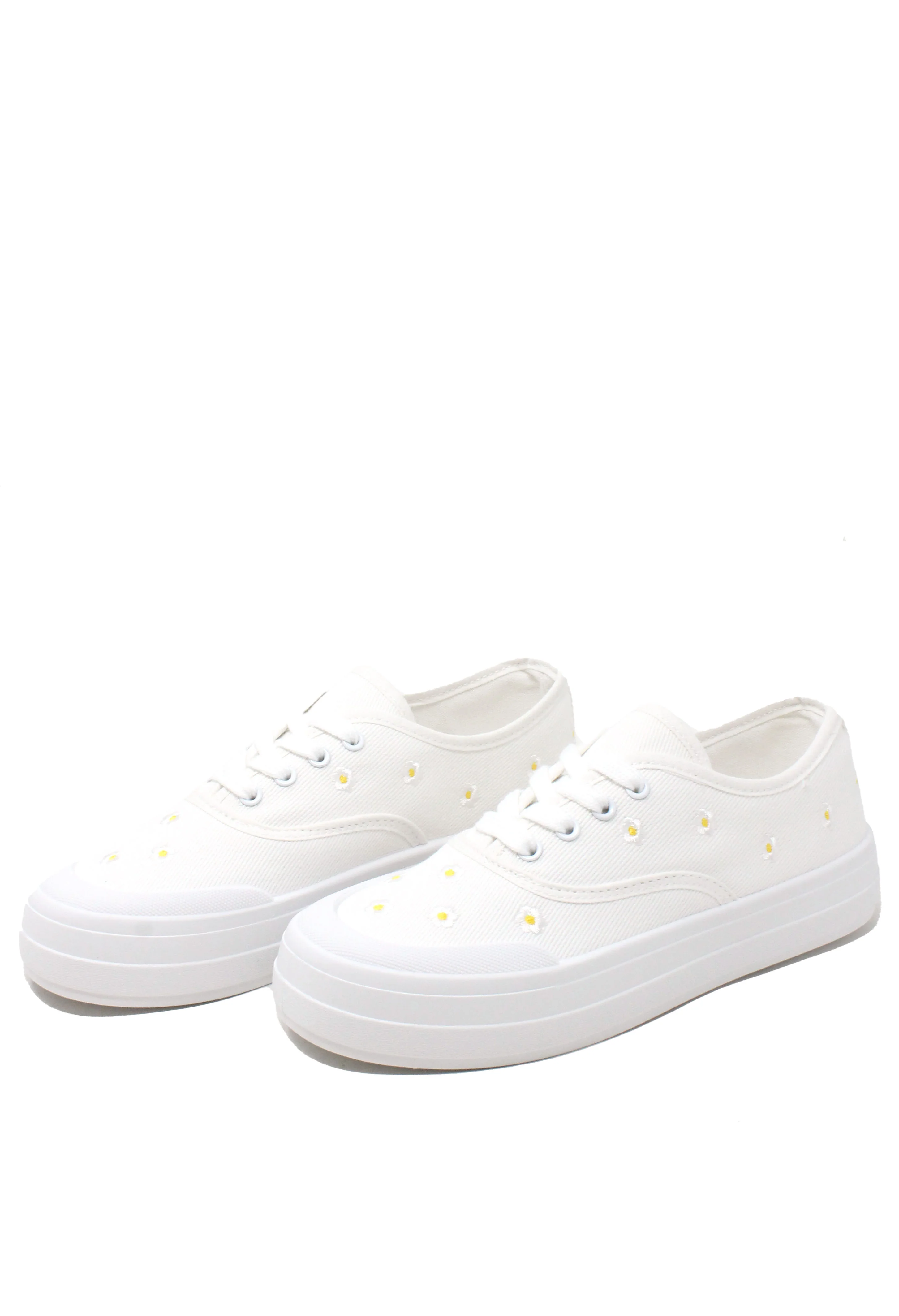 Daisy Trainer - Image 4