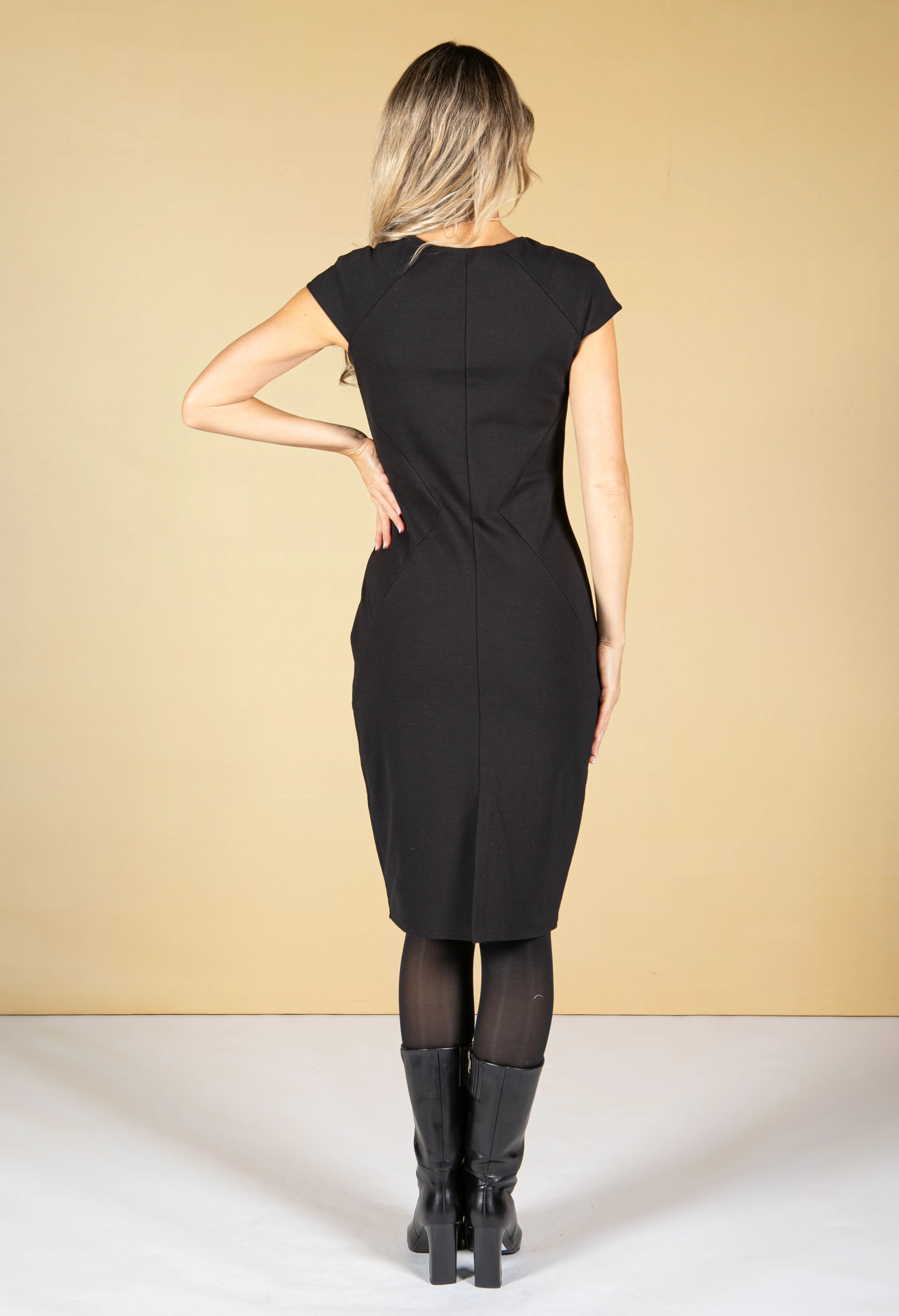 Fitted Panel Detail Dress - Image 3
