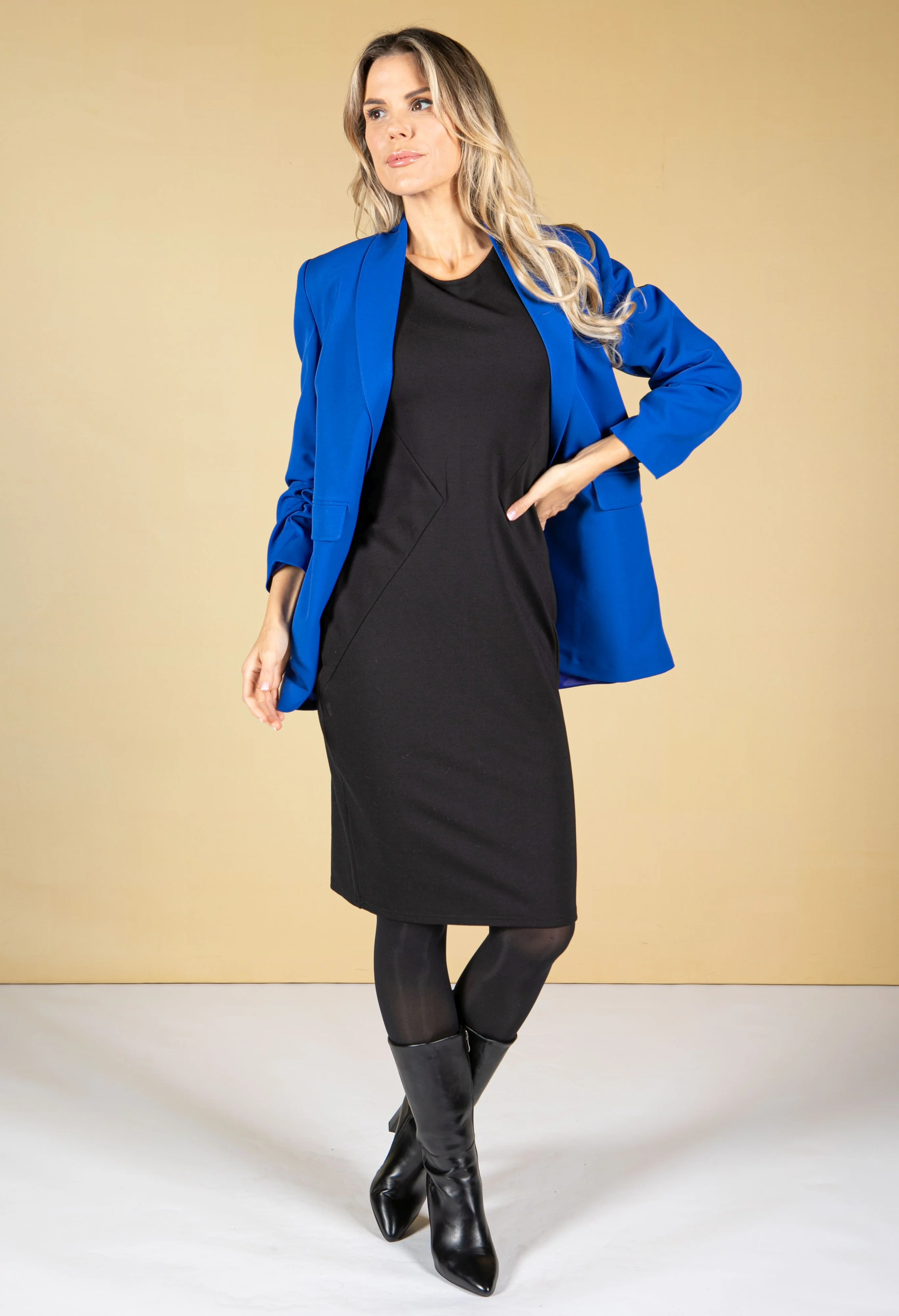 Fitted Panel Detail Dress - Image 4