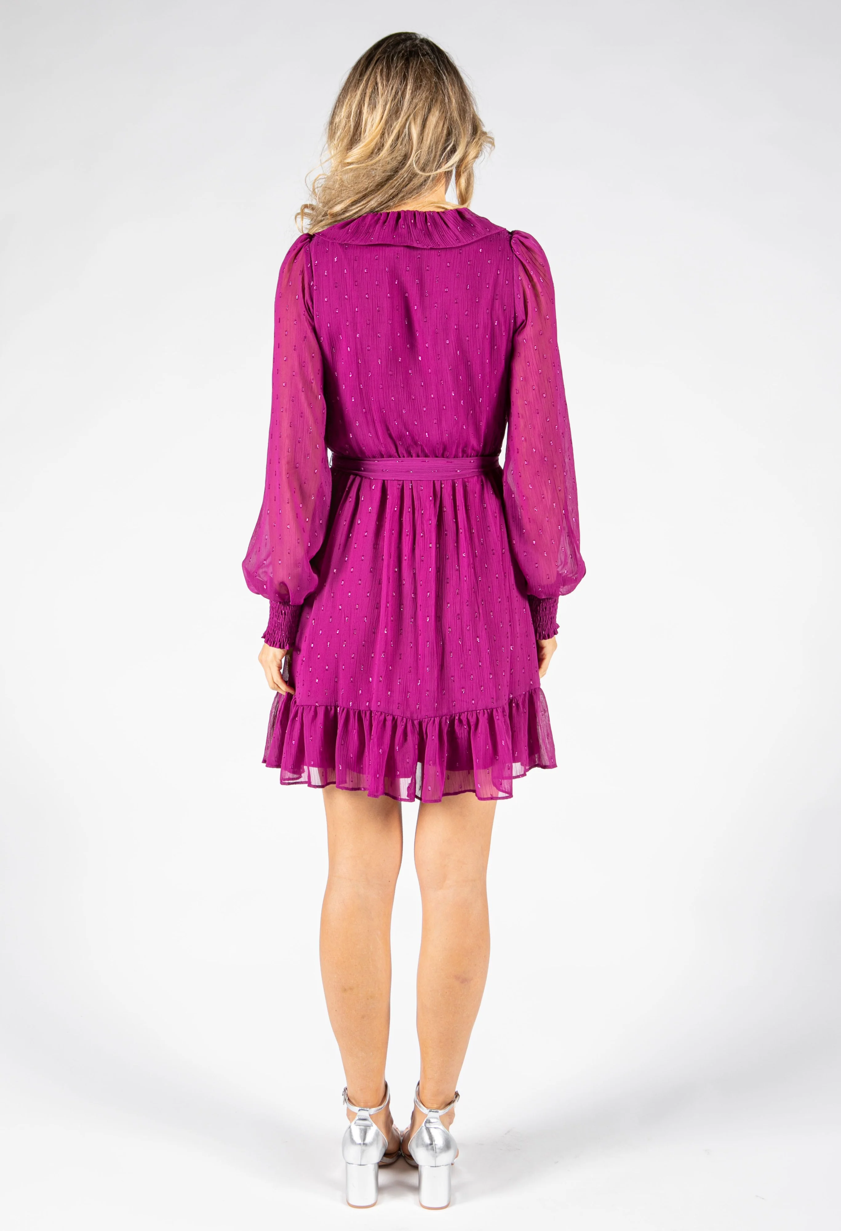 Glittered Ruffle Dress - Image 4